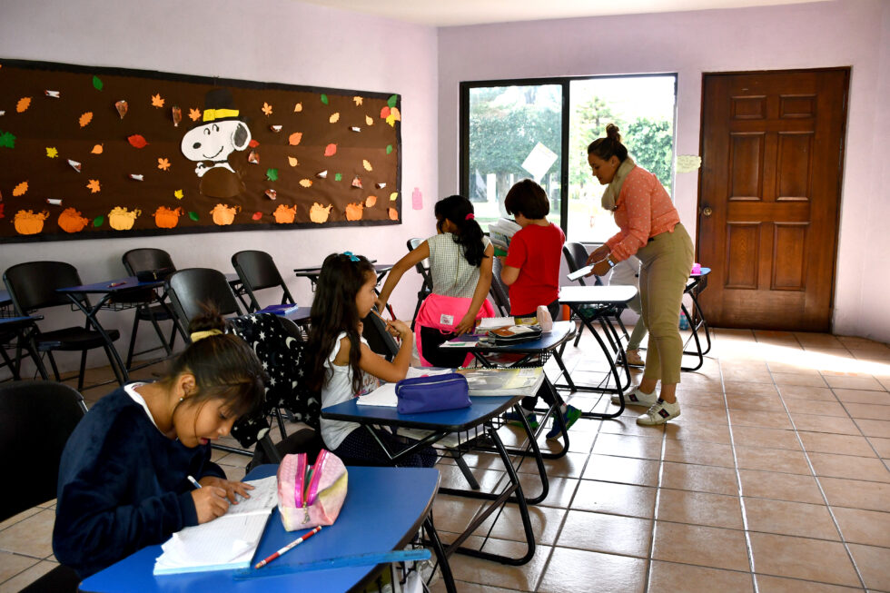 Special English Goldenwoods